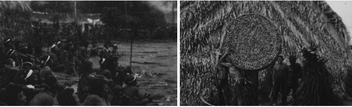 ArticleBrumCoutinho Fig 8-9